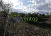 Chalet independiente con terreno en venta en la España, Lorca, ref: TR323227 foto
