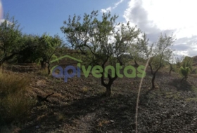 Foto 15