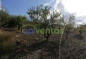Chalet independiente con terreno en venta en la España, Lorca, ref: TR323227 foto