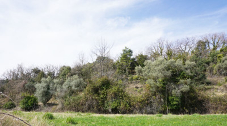 Huesca - Graus - 8072m2