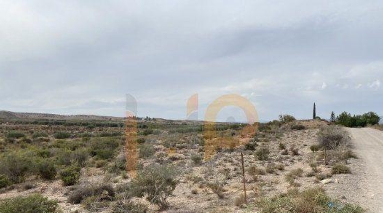Almería - Albox - 8000m2