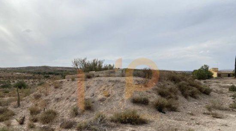 Almería - Albox - 8000m2