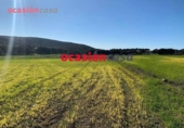 Non-developable land for sale on España, Belmez, ref: TR254798 photo