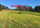 Non-developable land for sale on España, Belmez, ref: TR254798 photo