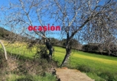 Non-developable land for sale on España, Belmez, ref: TR254798 photo