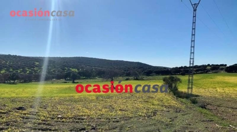 Córdoba - Belmez - 17000m2