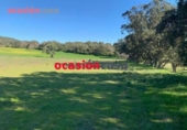 Non-developable land for sale on España, Belmez, ref: TR254798 photo
