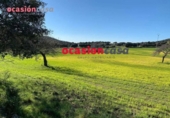 Non-developable land for sale on España, Belmez, ref: TR254798 photo