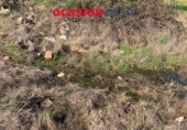 Non-developable land for sale on España, Belmez, ref: TR254798 photo