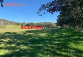 Non-developable land for sale on España, Belmez, ref: TR254798 photo