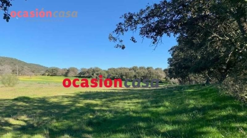 Córdoba - Belmez - 17000m2