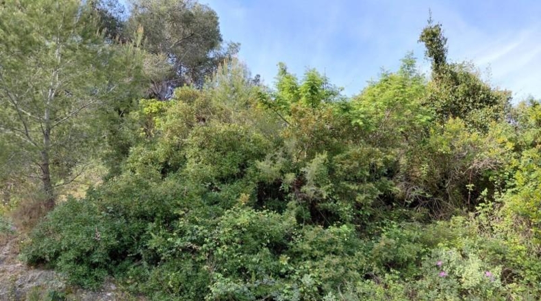 Tarragona - Calafell - 1252m2