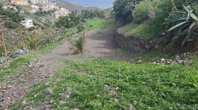 Las Palmas - Las Palmas de Gran Canaria - 1478m2