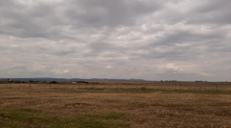 Cáceres - Malpartida de Cáceres - 1500m2