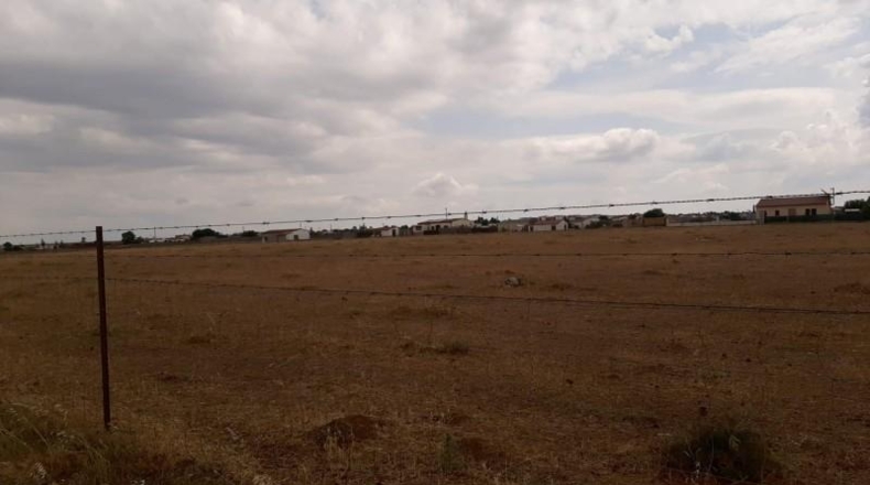 Cáceres - Malpartida de Cáceres - 1500m2