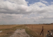 Non-developable land for sale on España, Malpartida de Cáceres, ref: TR122624 photo