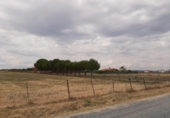 Non-developable land for sale on España, Malpartida de Cáceres, ref: TR122624 photo