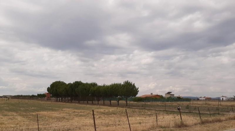 Cáceres - Malpartida de Cáceres - 1500m2