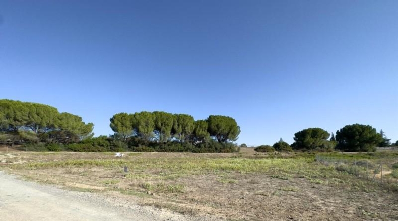 Seville - Las Cabezas de San Juan - 5548m2