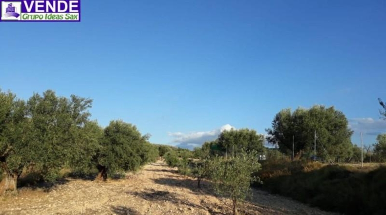 Alicante - Sax - 8560m2