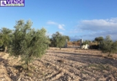 Terreny no urbanitzable en venda a la España, Saix, ref.: TR369259 foto