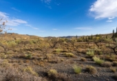 Terreno no urbanizable en venta en la España, Senés, ref: TR350364 foto