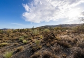 Terreno no urbanizable en venta en la España, Senés, ref: TR350364 foto