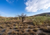 Terreno no urbanizable en venta en la España, Senés, ref: TR350364 foto