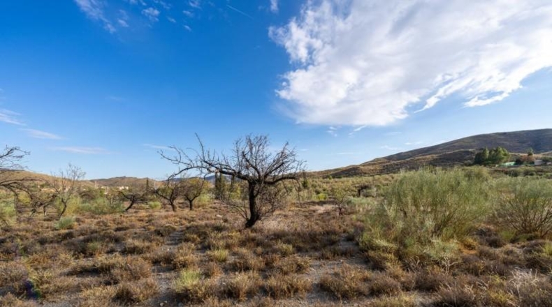 Almería - Senés - 12233m2