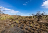 Terreno no urbanizable en venta en la España, Senés, ref: TR350364 foto