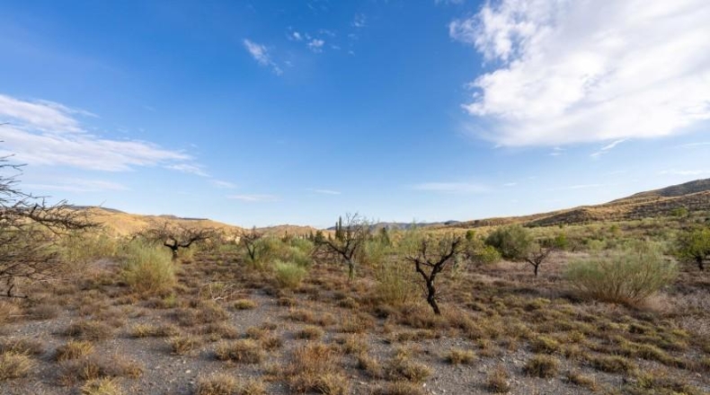 Almería - Senés - 12233m2