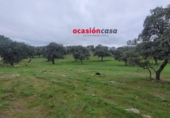 Xalet independent amb terreny en venda a la España, Pedroche, ref.: TR302586 foto