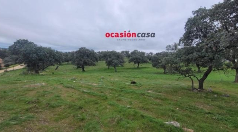 Córdoba - Pedroche - 28050m2