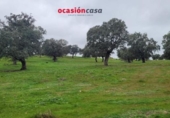 Xalet independent amb terreny en venda a la España, Pedroche, ref.: TR302586 foto