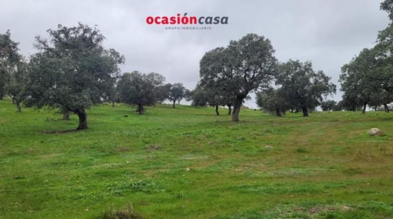Córdoba - Pedroche - 28050m2