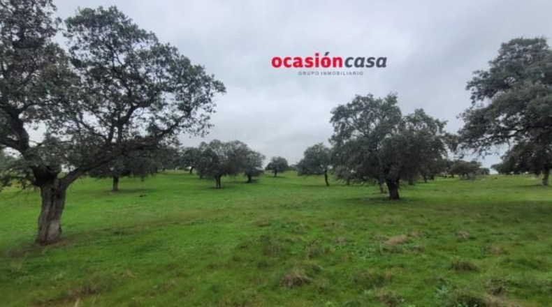 Córdoba - Pedroche - 28050m2