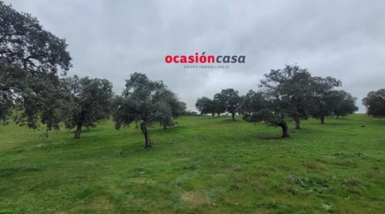 Córdoba - Pedroche - 28050m2