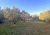 Terreno no urbanizable en venta en la España, el Perelló, ref: TR127191 foto