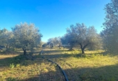 Terreno no urbanizable en venta en la España, el Perelló, ref: TR127191 foto