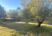 Terreno no urbanizable en venta en la España, el Perelló, ref: TR127191 foto