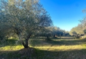 Terreno no urbanizable en venta en la España, el Perelló, ref: TR127191 foto