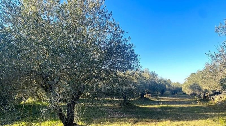 Tarragona - el Perelló - 5051m2