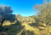 Terreno no urbanizable en venta en la España, el Perelló, ref: TR127191 foto