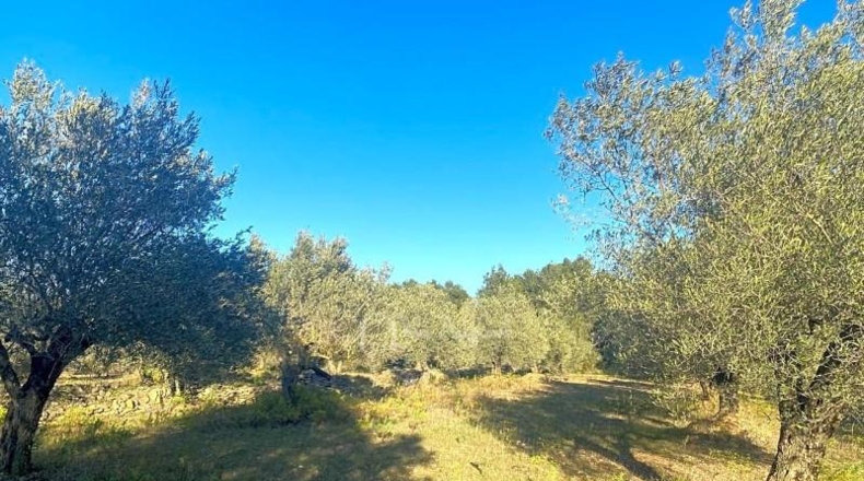 Tarragona - el Perelló - 5051m2
