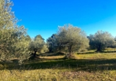 Terreno no urbanizable en venta en la España, el Perelló, ref: TR127191 foto