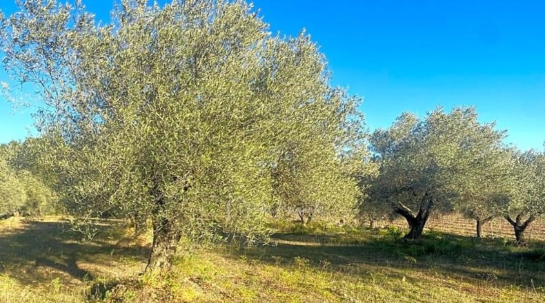 Tarragona - el Perelló - 5051m2