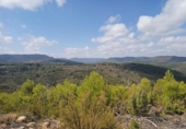 Xalet independent amb terreny en venda a la España, Vall-de-roures, ref.: TR319824 foto