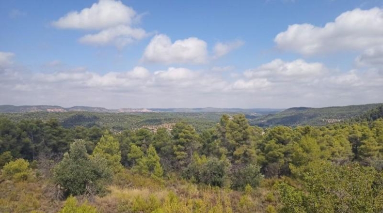 Teruel - Valderrobres - 22600m2