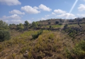 Xalet independent amb terreny en venda a la España, Vall-de-roures, ref.: TR319824 foto