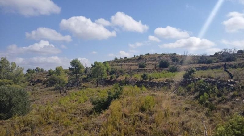 Teruel - Valderrobres - 22600m2